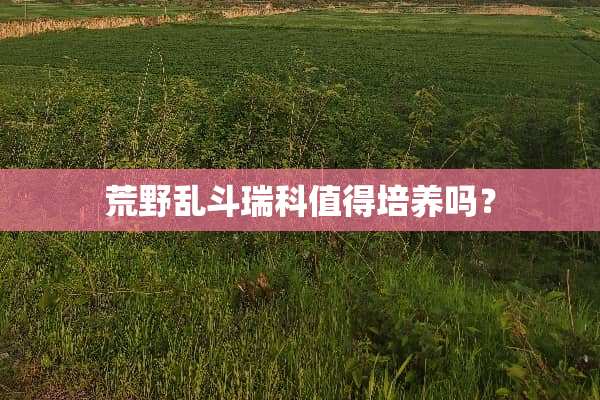 荒野乱斗瑞科值得培养吗？