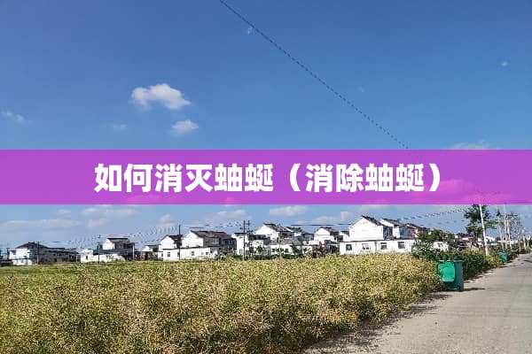 如何消灭蚰蜒（消除蚰蜒）