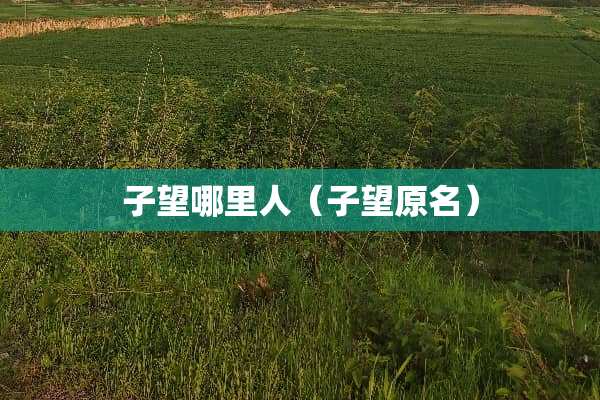 子望哪里人（子望原名）