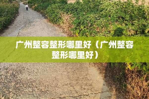 广州整容整形哪里好（广州整容整形哪里好）