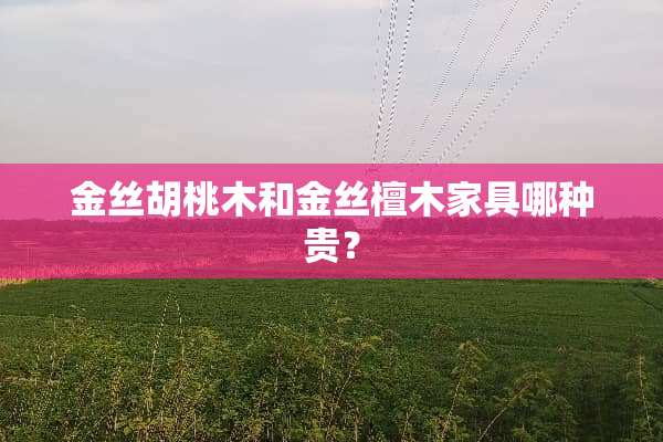 金丝胡桃木和金丝檀木家具哪种贵？
