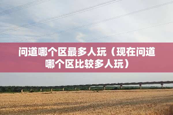 问道哪个区最多人玩（现在问道哪个区比较多人玩）