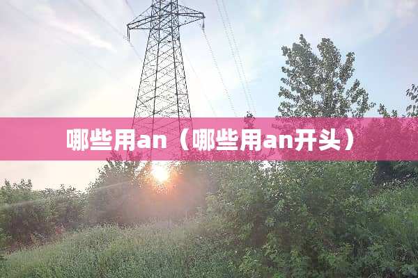 哪些用an（哪些用an开头）