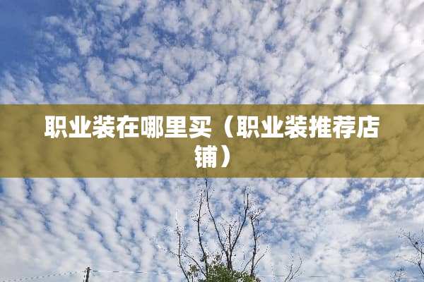 职业装在哪里买（职业装推荐店铺）