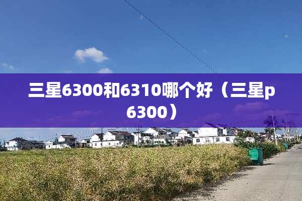 三星6300和6310哪个好（三星p6300）