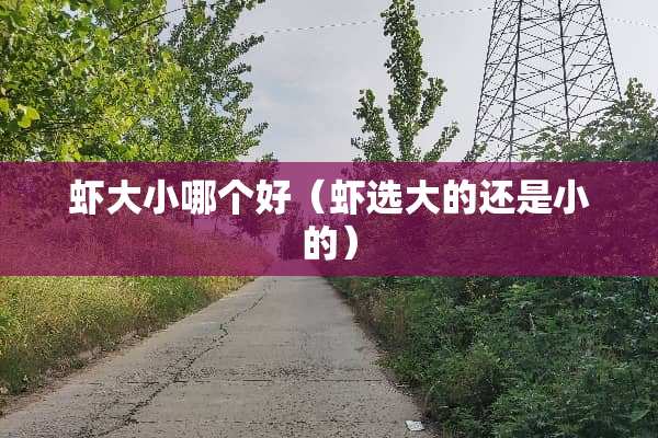 虾大小哪个好（虾选大的还是小的）