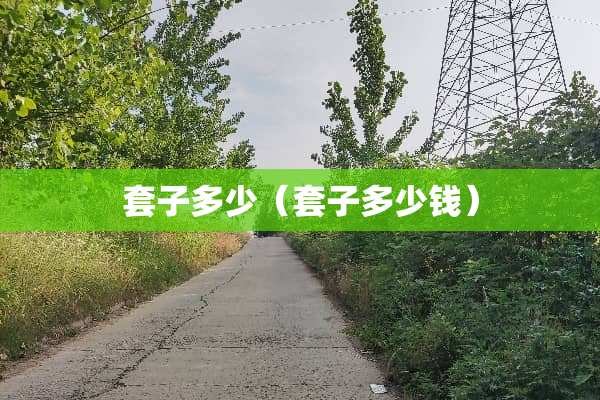套子多少（套子多少钱）