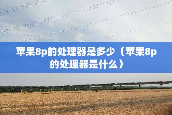 苹果8p的处理器是多少（苹果8p的处理器是什么）