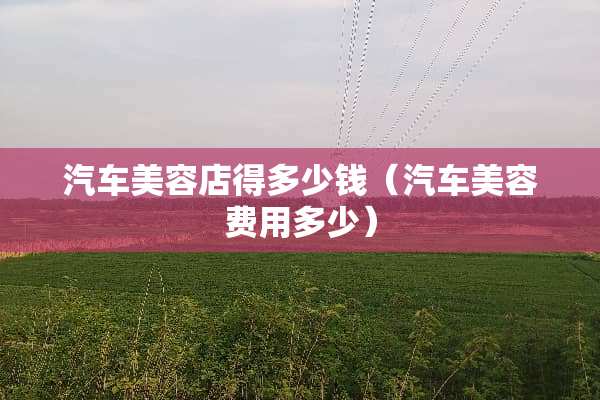 汽车美容店得多少钱（汽车美容费用多少）
