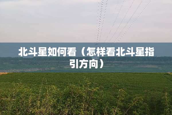 北斗星如何看（怎样看北斗星指引方向）