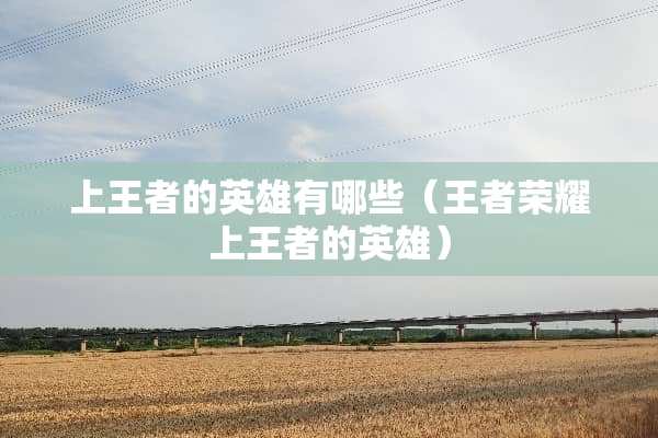 上王者的英雄有哪些（王者荣耀上王者的英雄）