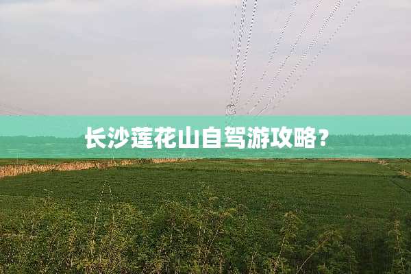 长沙莲花山自驾游攻略？
