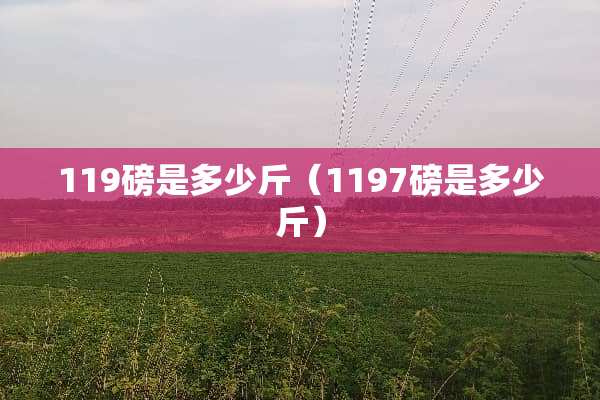 119磅是多少斤（1197磅是多少斤）