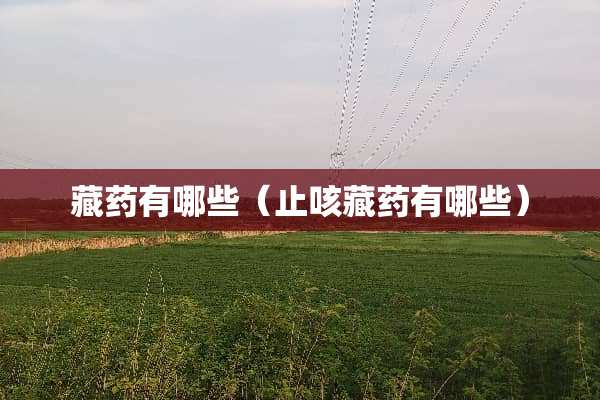 藏药有哪些（止咳藏药有哪些）