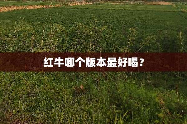 红牛哪个版本最好喝？