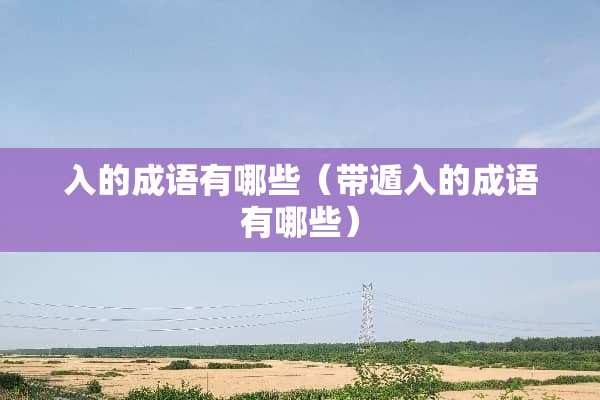 入的成语有哪些（带遁入的成语有哪些）