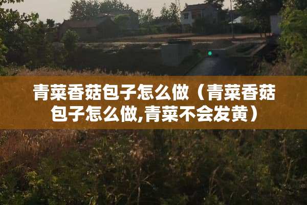 青菜香菇包子怎么做（青菜香菇包子怎么做,青菜不会发黄）