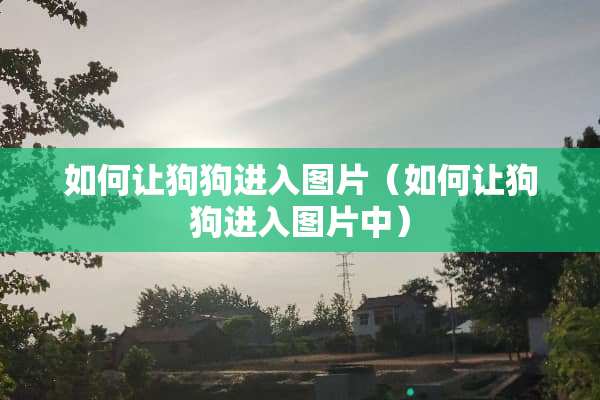 如何让狗狗进入图片（如何让狗狗进入图片中）