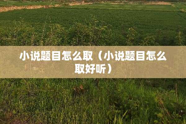 小说题目怎么取（小说题目怎么取好听）