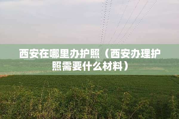 西安在哪里办护照（西安办理护照需要什么材料）
