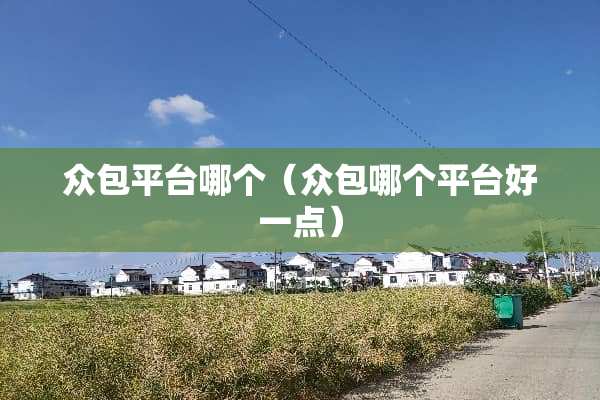 众包平台哪个（众包哪个平台好一点）