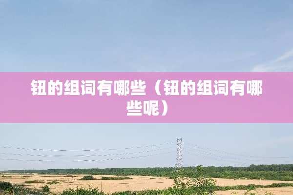 钮的组词有哪些（钮的组词有哪些呢）