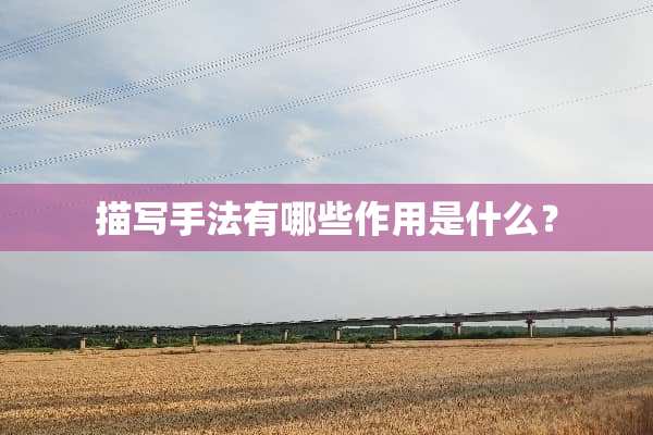 描写手法有哪些作用是什么？