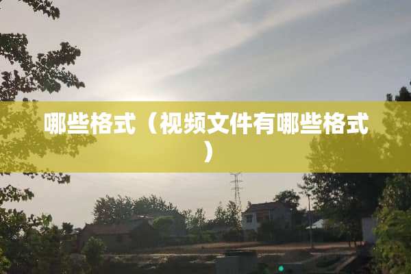 哪些格式（视频文件有哪些格式）