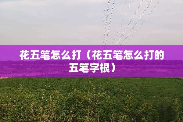 花五笔怎么打（花五笔怎么打的五笔字根）