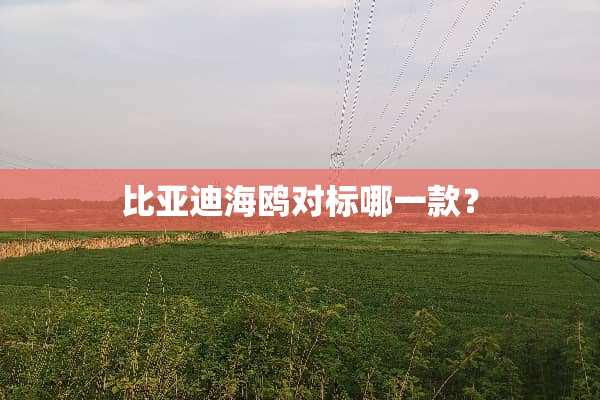 比亚迪海鸥对标哪一款？