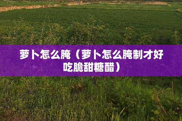 萝卜怎么腌（萝卜怎么腌制才好吃脆甜糖醋）