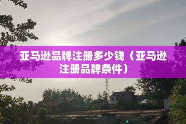 亚马逊品牌注册多少钱（亚马逊注册品牌条件）