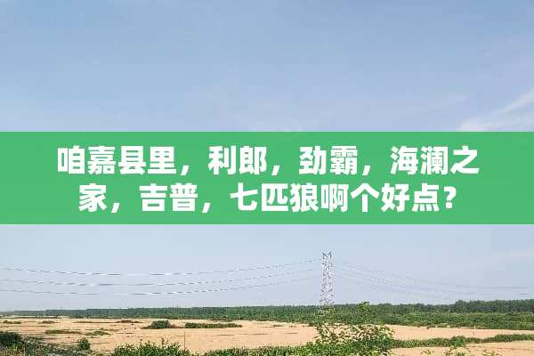 咱嘉县里，利郎，劲霸，海澜之家，吉普，七匹狼啊个好点？