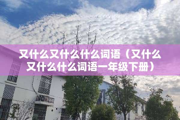 又什么又什么什么词语（又什么又什么什么词语一年级下册）