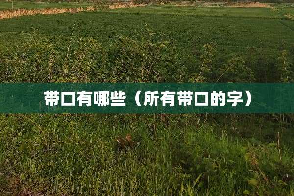 带口有哪些（所有带口的字）