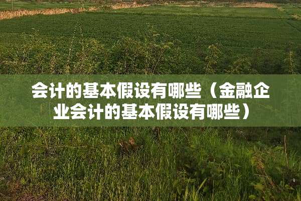 会计的基本假设有哪些（金融企业会计的基本假设有哪些）
