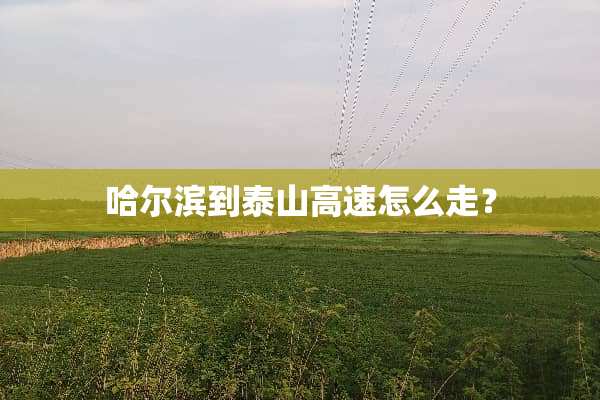 哈尔滨到泰山高速怎么走？
