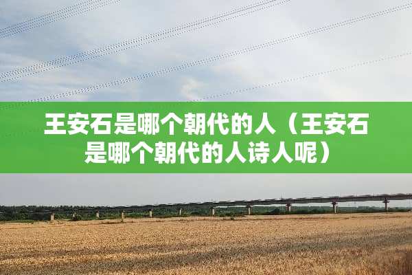 王安石是哪个朝代的人（王安石是哪个朝代的人诗人呢）