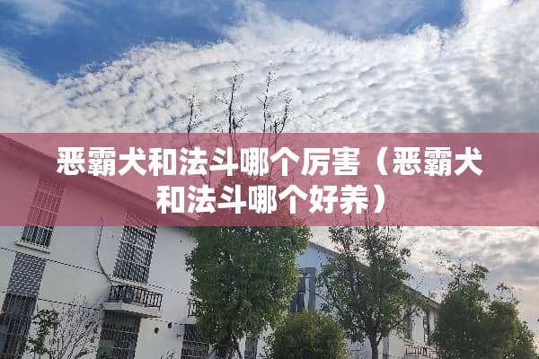 恶霸犬和法斗哪个厉害（恶霸犬和法斗哪个好养）