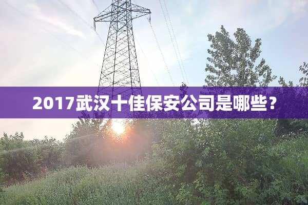 2017武汉十佳保安公司是哪些？