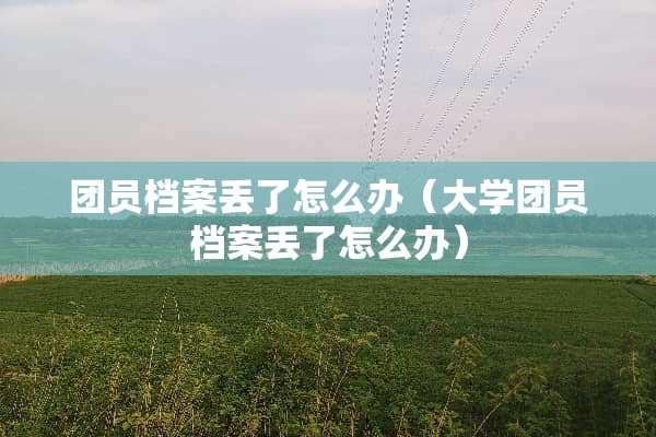 团员档案丢了怎么办（大学团员档案丢了怎么办）