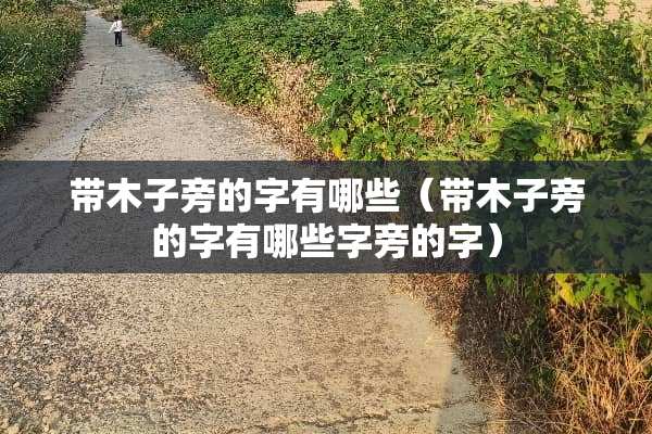 带木子旁的字有哪些（带木子旁的字有哪些字旁的字）