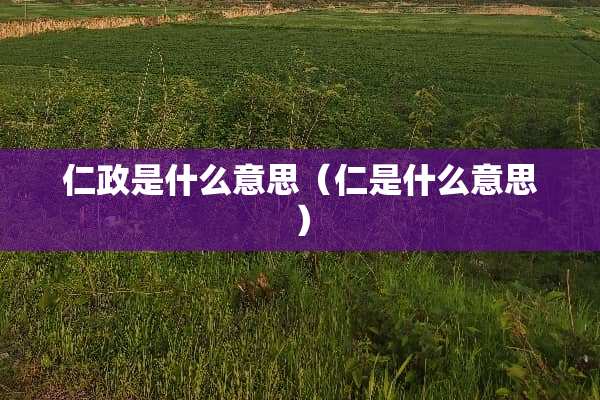 仁政是什么意思（仁是什么意思）