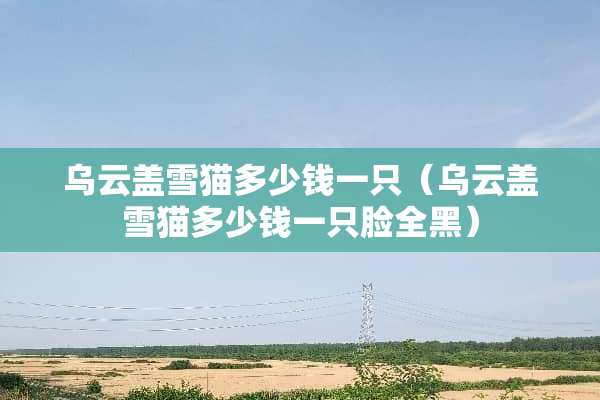乌云盖雪猫多少钱一只（乌云盖雪猫多少钱一只脸全黑）