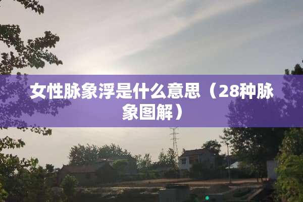 女性脉象浮是什么意思（28种脉象图解）