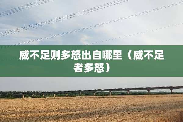 威不足则多怒出自哪里（威不足者多怒）