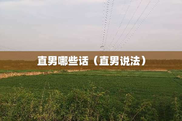 直男哪些话（直男说法）