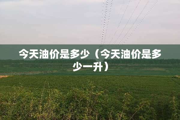 今天油价是多少（今天油价是多少一升）