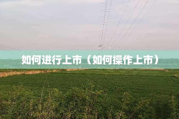 如何进行上市（如何操作上市）