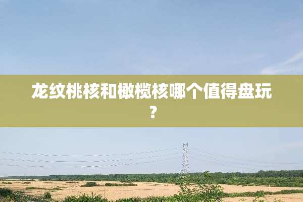 龙纹桃核和橄榄核哪个值得盘玩？